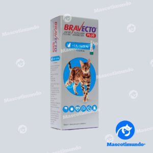 BRAVECTO PLUS 250 MG GATOS
