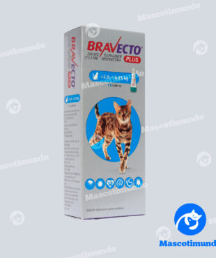 BRAVECTO PLUS 250 MG GATOS