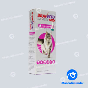 BRAVECTO PLUS 500 MG GATOS