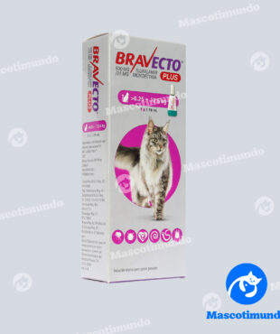 BRAVECTO PLUS 500 MG GATOS