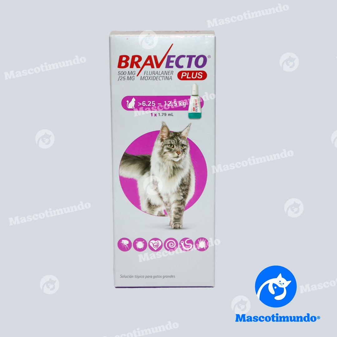 BRAVECTO PLUS 500 MG GATOS