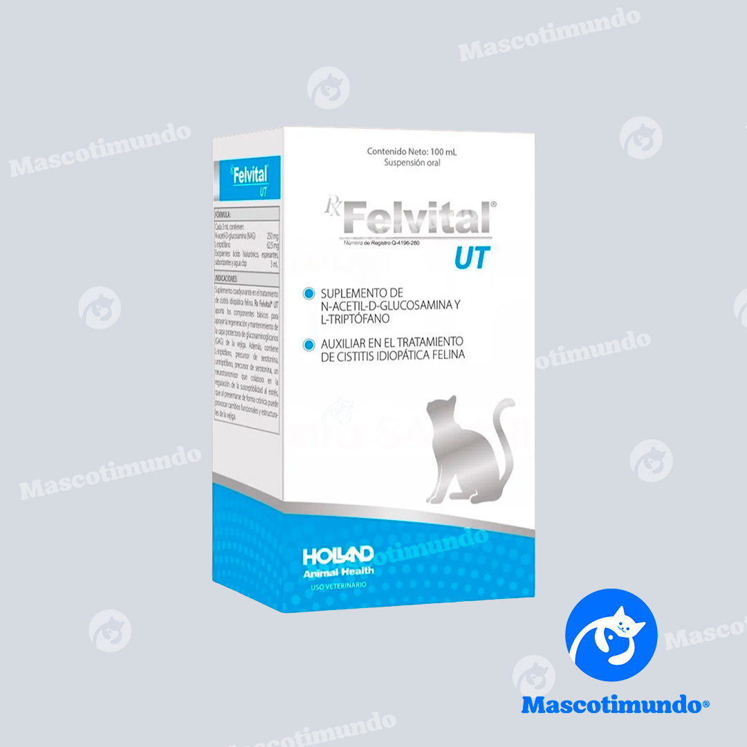 RX FELVITAL UT HOLLAND SUSPENSIÓN ORAL 100 ML
