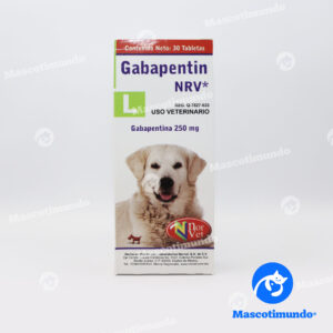 GABAPENTIN "GDE"250 MG 30 TBS
