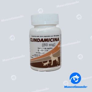 CLINDAMICINA 50 MG